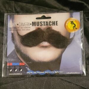 Western Fake Mustache